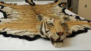 Živali in pristno usnje.